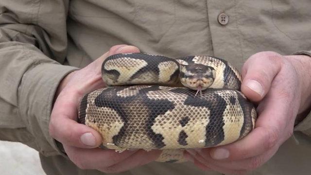 Yer: Kırıkkale! Gencin, TikTok paylaşımı pahalıya mâl oldu