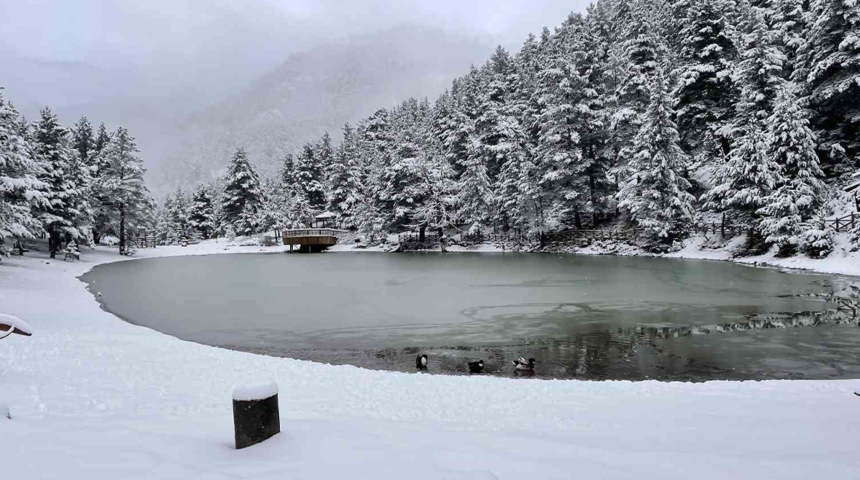 Zigana’nın nazar boncuğu Limni Gölü Tabiat Parkı, beyaza büründü! Ortaya kartpostallık görüntüler çıktı