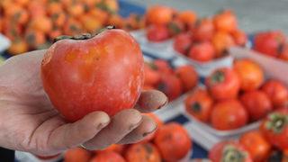 Şifa deposu üründe talebe yetişemiyorlar: Kilosu 5 lira