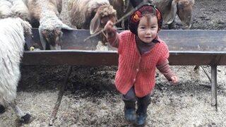 Müslüme olayı nedir, babası kim? Müslüme’yi kim, neden öldürdü?