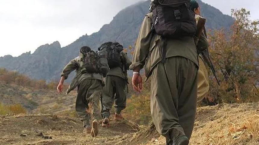 İçişleri Bakanlığı açıkladı: 2 terörist teslim oldu