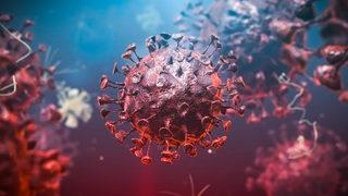 Yeni varyant dünyayı alarma geçirdi! Güney Afrika: Alkışlanmak yerine cezalandırıldık