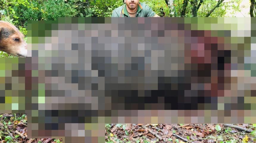 Köylülerin en büyük problemiydi! Etkisiz hale getirildi: Tam 400 kilo