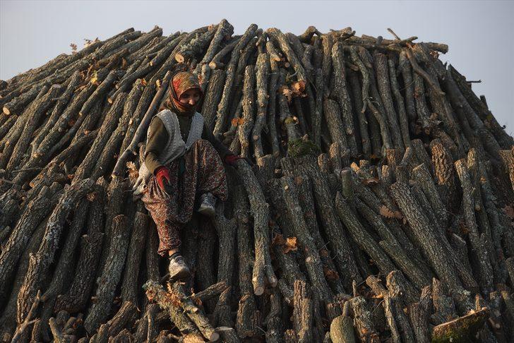 Zor şartlarda mangal kömürü üretip ailelerinin geçimlerini sağlıyorlar G1