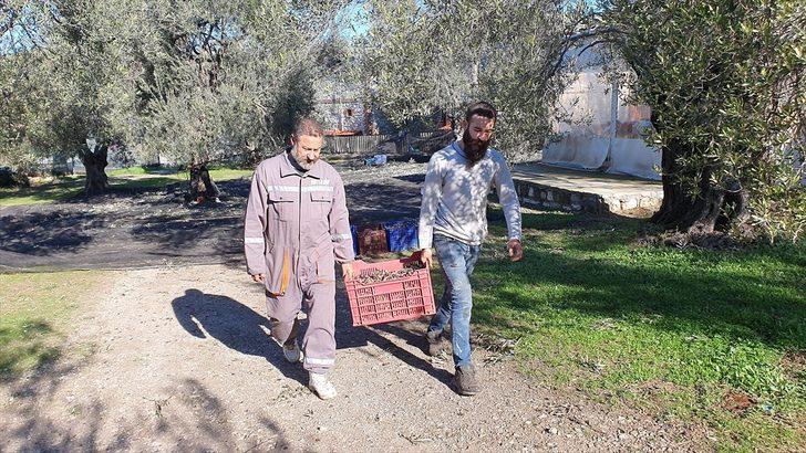 Kamyonuna geleneksel taş baskı sistemi kuran muhtar il il gezerek zeytinyağını tanıtacak G2