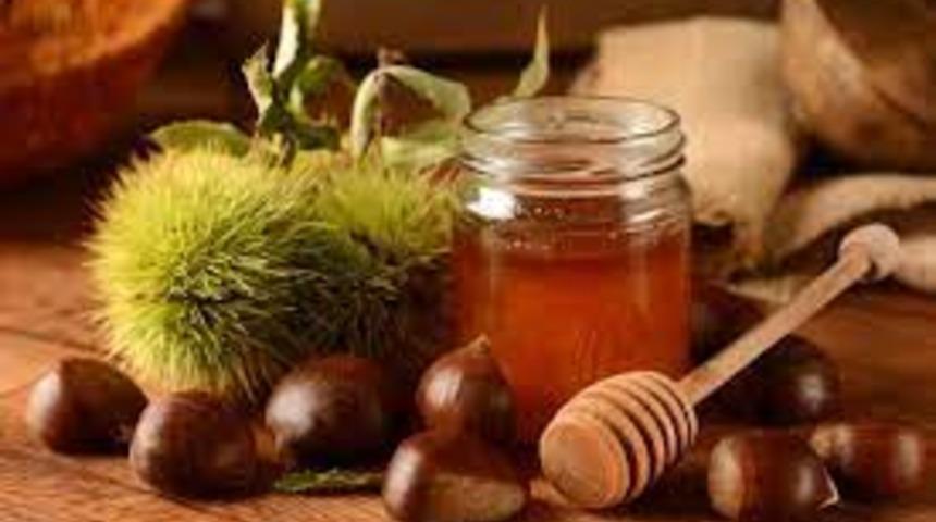 Kestane balı nereden alınır? Kestane balının faydaları nelerdir?