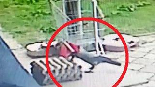 Ordu'da şaşkına çeviren hırsızlık! Yumurta ve patates cipsi çalan karga kamerada