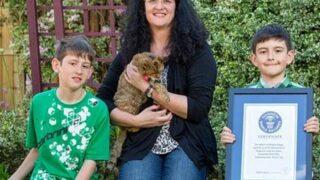 Dünyanın en yaşlı kedisi! 24 yaşındaki Poppy, Guinness’e girmeyi başardı