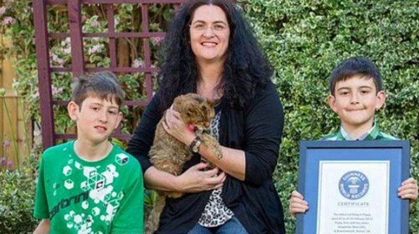 Dünyanın en yaşlı kedisi! 24 yaşındaki Poppy, Guinness’e girmeyi başardı