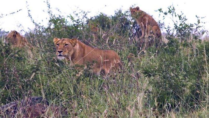 Ölüm kalım mücadelesi kamerada G1