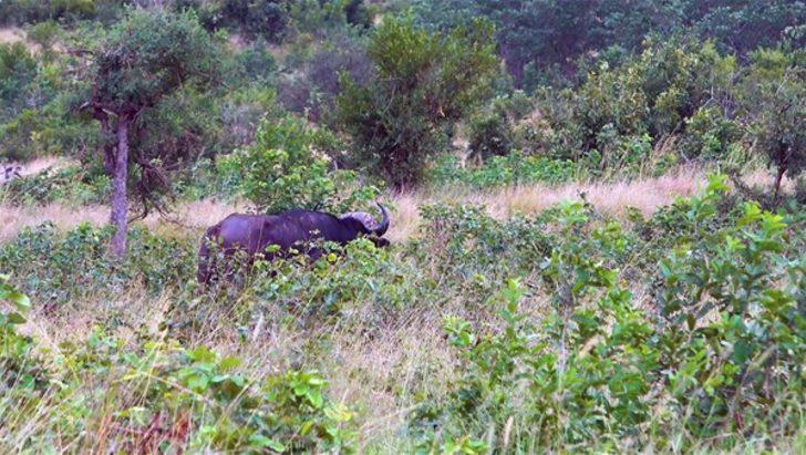 Ölüm kalım mücadelesi kamerada G2