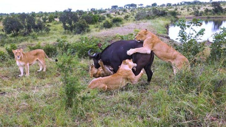 Ölüm kalım mücadelesi kamerada G3