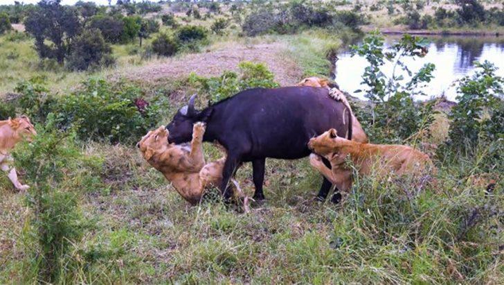 Ölüm kalım mücadelesi kamerada G4