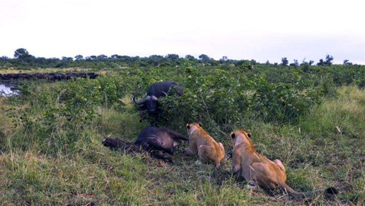 Ölüm kalım mücadelesi kamerada G5