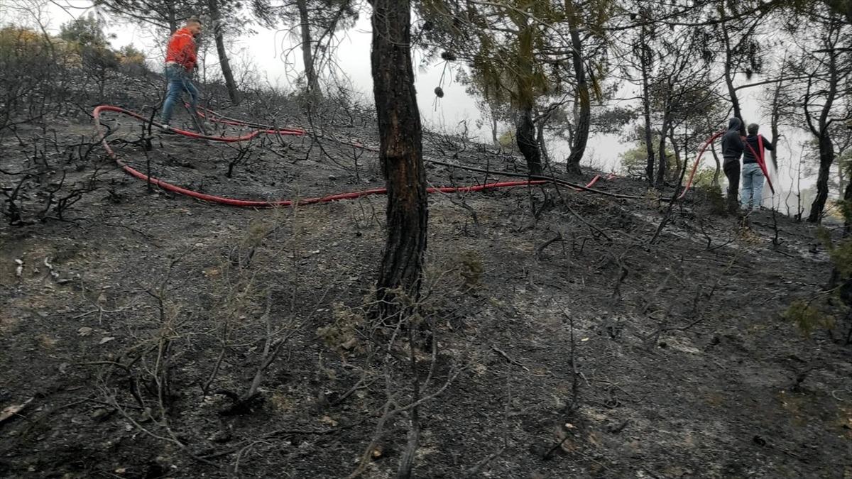 Sakarya'da &ccedil;ıkan &ouml;rt&uuml; yangınında 10 dekar alan zarar g&ouml;rd&uuml;