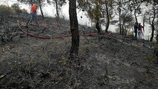 Sakarya'da çıkan örtü yangınında 10 dekar alan zarar gördü