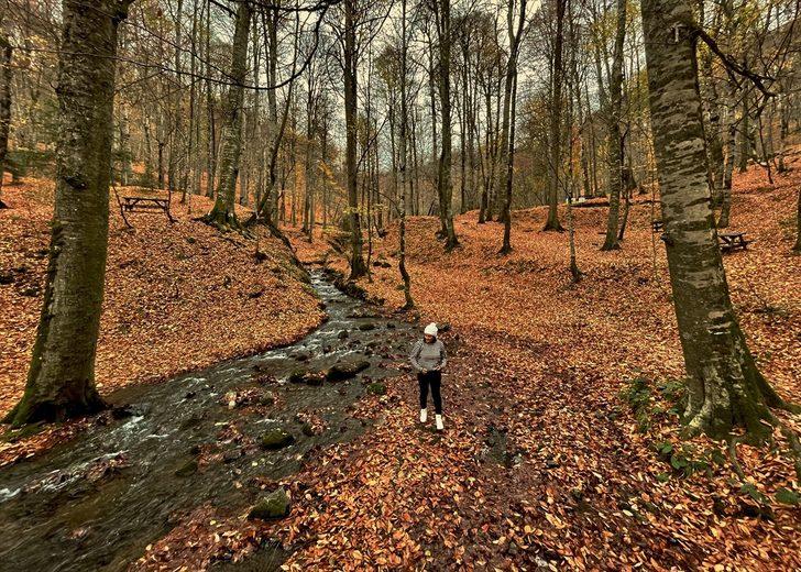 Yedigöller'de hazan mevsiminin son günleri yaşanıyor G4