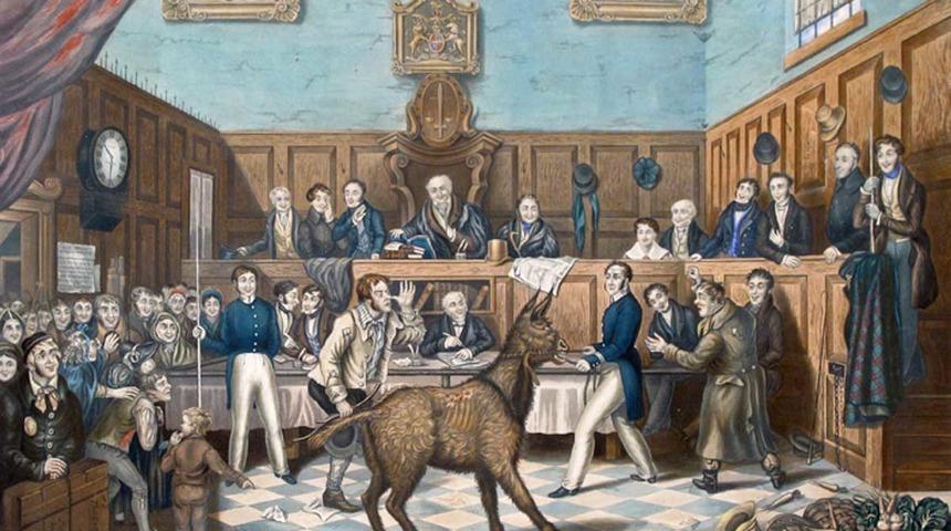 Hayvan hakları tarihinde ilginç olay! Sahibi tarafından dövülen eşek mahkemeye çıktı