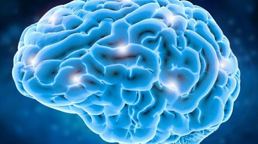 Uzun süreli bellek, bilim insanlarının gözetiminde