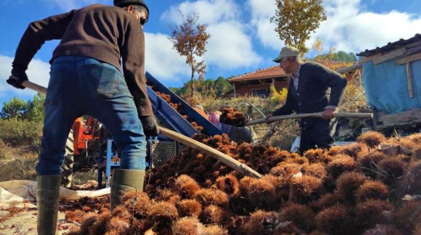 Binbir zahmetle toplandı, 1 ay kuyuda bekletildi! 50 liradan satılacak