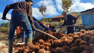 Binbir zahmetle toplandı, 1 ay kuyuda bekletildi! 50 liradan satılacak