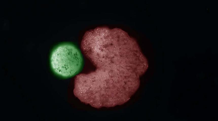 Bunu da g&ouml;rd&uuml;k! Robotlar artık &uuml;reyebiliyor