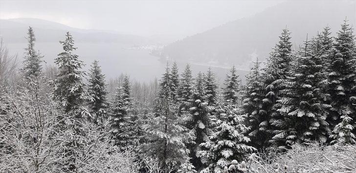 Bolu'da tabiat parkları ile kayak merkezi beyaz örtüyle kaplandı G4