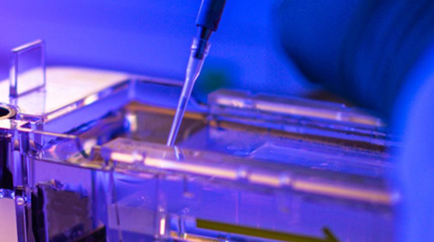 Genetik testleri sayesinde kalıtsal hastalıklar önceden tespit edilebiliyor! Anne-baba olmadan önce mutlaka yaptırın