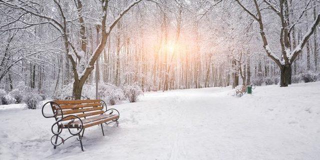 benches-in-snow-covered-woods-01122021d9cb0b68