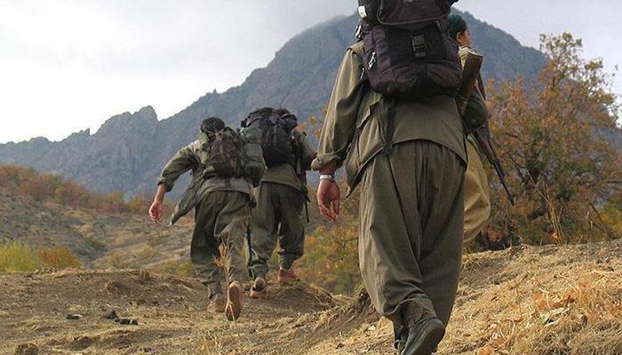 PKK/KCK'lı teröristler Renas Ermeğan ile Nevzat Durmuş etkisiz hale getirildi