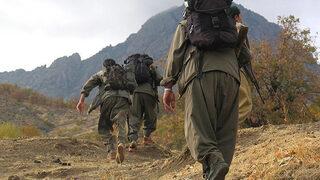 PKK/KCK'lı teröristler Renas Ermeğan ile Nevzat Durmuş etkisiz hale getirildi