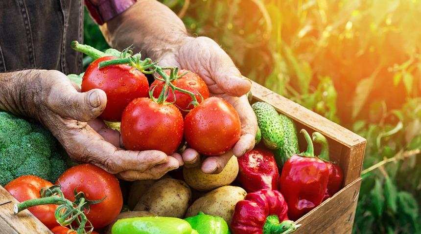 Hormonlu gıdalar hangi hastalıklara neden olur? Vücuda birçok zarar veriyor