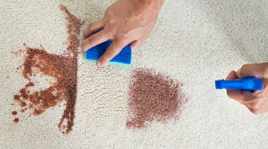 &Ccedil;&ouml;z&uuml;m&uuml; sandığınızdan da basit! Halılarınızı temizlerken bu y&ouml;ntemleri uygularsanız...