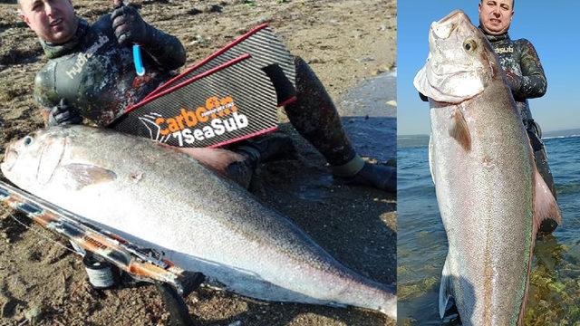 Zıpkınla 55 kiloluk akya balığı avladı