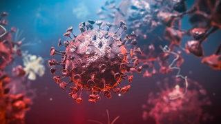 Omicron yayılmaya devam ediyor! ABD'de de rastlandı