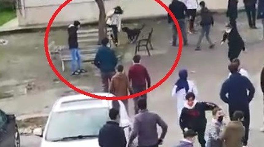 Okulda pitbull dehşeti: 5 öğrenci yaralandı