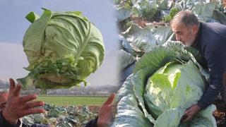 17 yıl önce dede mesleğini yapmaya başladı, yurt dışından bile talipleri var