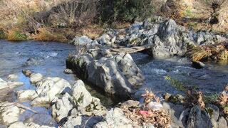 Yolu 4 kilometre kısaltmak için dere üzerine yaptığı köprü, canından etti
