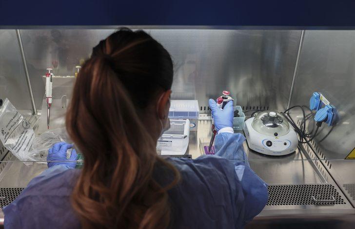 Kovid-19 mutasyonlarını "kişisel önlemler" ve "tam doz aşı" bitirebilir G2