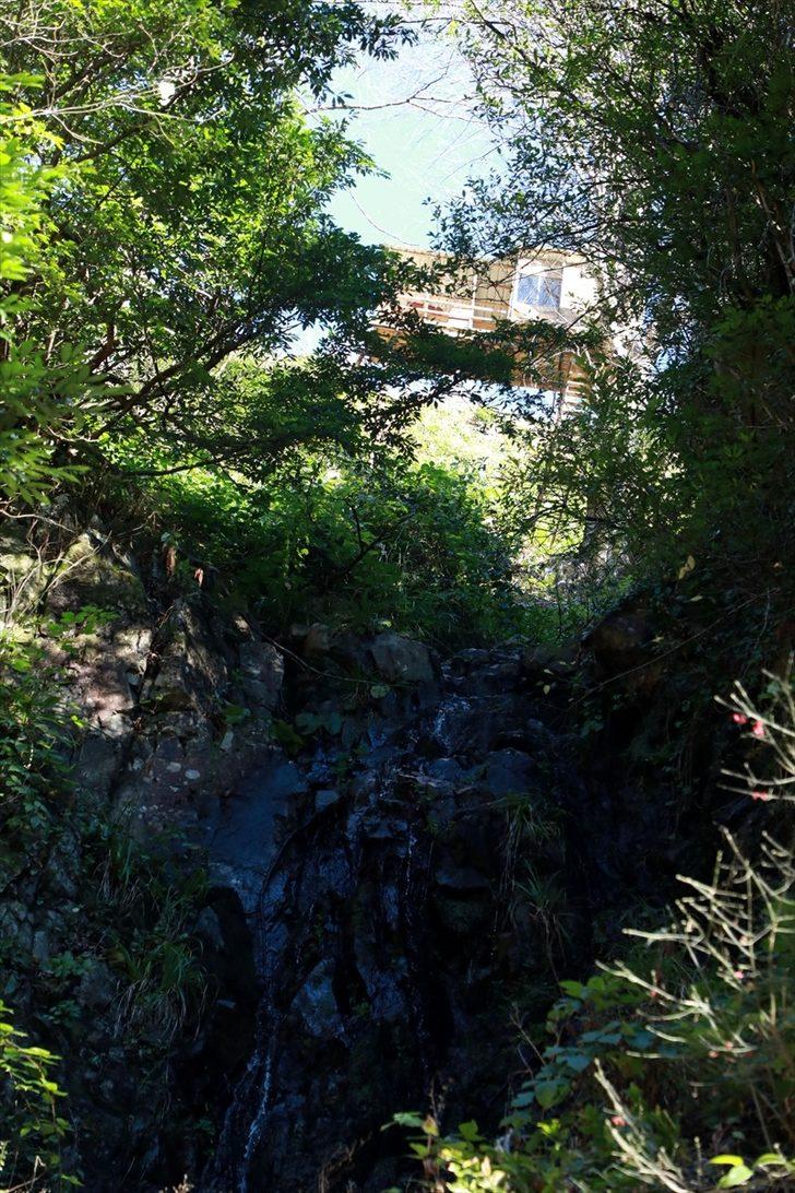 Şehrin gürültüsünden uzaklaşmak için yükseklik korkusuna rağmen ağaca ev yaptı G1