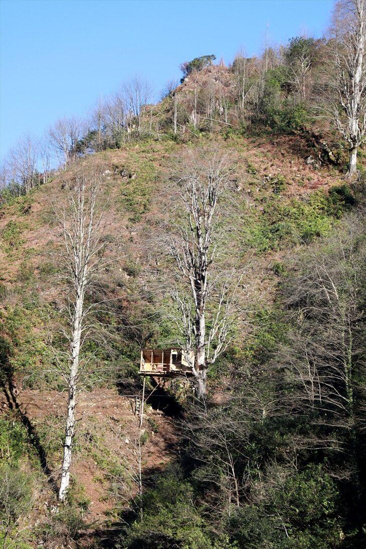 Şehrin gürültüsünden uzaklaşmak için yükseklik korkusuna rağmen ağaca ev yaptı G2