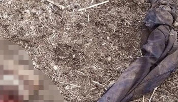Van'ın İran sınırında parçalanmış ceset bulundu