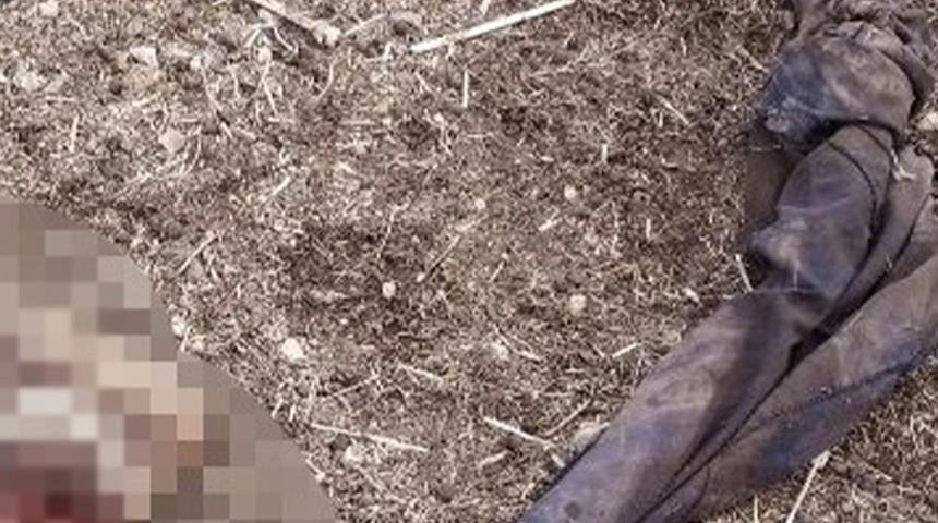 Van'ın İran sınırında parçalanmış ceset bulundu