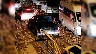 Her yeri kapladı, sürücüler ilerleyemedi