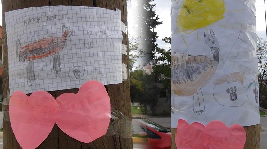 Yürekleri ısıtan kayıp ilanı: Ponçik aranıyor!