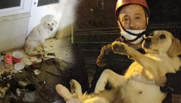 10 gün aç ve susuz balkonda mahsur kalan köpek kurtarıldı! Bulunduğu yeri görenin yüreği parçalandı