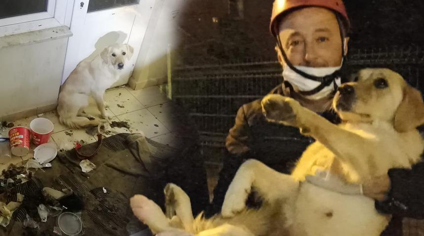 10 gün aç ve susuz balkonda mahsur kalan köpek kurtarıldı! Bulunduğu yeri görenin yüreği parçalandı