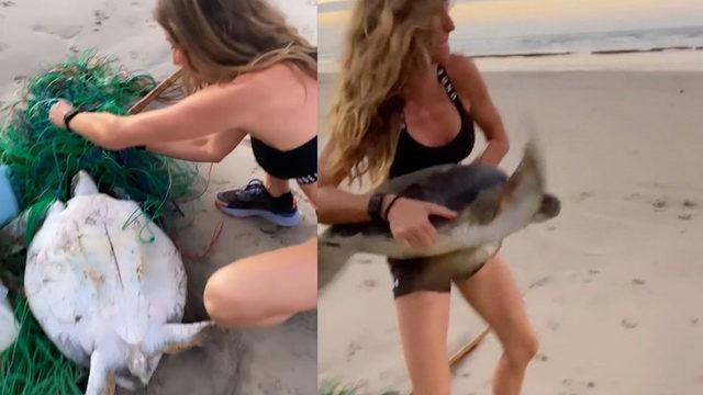 Gisele Bündchen ağlara takılan kaplumbağayı kurtardı