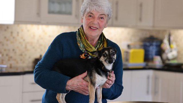 Köpeklerle konuşabildiğini iddia etti! Evcil hayvanı anlattı o kitabını yazdı