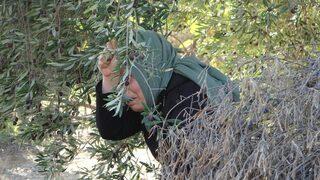 Korkunç olay! İlaç almak için eczaneye giden kadın, evde anne ve babasının cesedini buldu